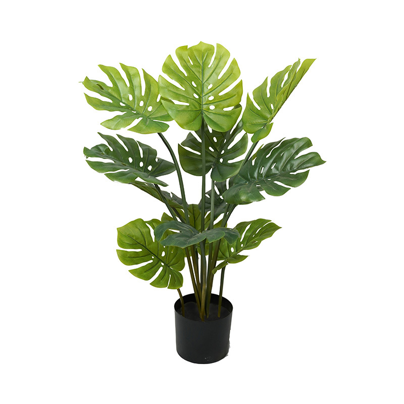 Verde-TZL2503022