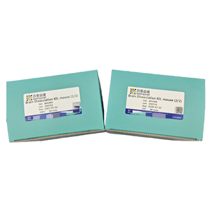 Phân ly mô cho nghiên cứu ISO 9001 ba3305 Bộ phân ly não, chuột (10 bài kiểm tra) - Product Image 2