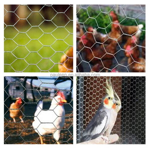 Sechseckige Draht geflecht maschine für Farm zaun Vogel-und Stein käfige Gewebtes Maschendraht netz Kunden spezifische Schneid verarbeitung