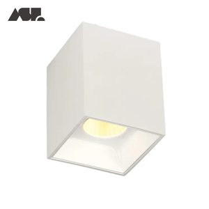 Zhongshan Aisilan kare çift kafaları aydınlatma led tavan aşağı ışıkları COB led downlight - Product Image 3