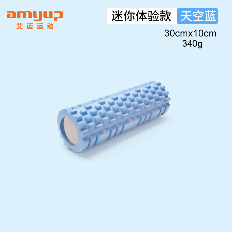 3010 sky blue mini