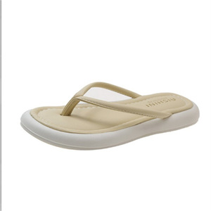 Tốt Nhất Người Bán Cổ Điển Đơn Giản Mới Mô Hình Chất Lượng Tốt Nhà Sản Xuất Bán Buôn Chống Trượt Phụ Nữ Của Thong Nêm Dép Và Dép Đi Trong Nhà - Product Image 1