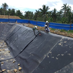 HDPE Anti-UV Fish100 % バージン1.5mmインドネシアの鉱山のためのHDPE Geomembrane - Product Image 3