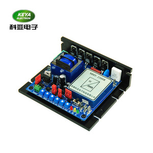 China Factory Günstiger Preis BLDC Motor Controller SCR-Klassen Eingang 115V 230V AC Ausgang 90 180 VDC Treiber - Product Image 2