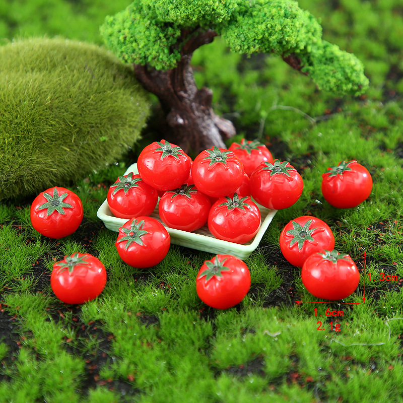 Tomato