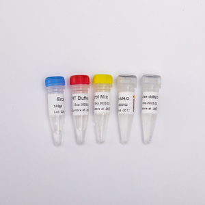 RT-PCR Mix RNA ters transkriscription kiti miRNA 1st Strand cDNA sentez kiti kök döngü - Product Image 1