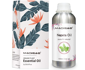 Aceite de Nepeta, extracto de plantas naturales puras, aceites esenciales, materia prima farmacéutica, aceite esencial de hierba gatera, precio a granel - Product Image 3