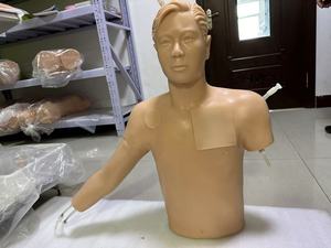 静脈介入の上半身マネキン/医療トレーニングのシミュレーションモデル/医療教育と学習のマネキン - Product Image 2