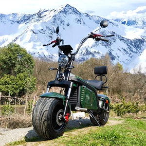 Custom <strong>Brand</strong> Offroad Pro 3000W 2000W 1500W Citycoco With <strong>EEC</strong> And COC