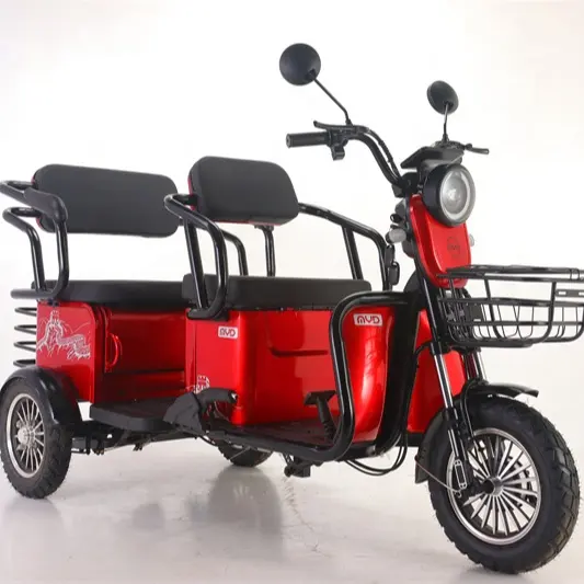 Factory supply adults 650W 3 wheel car cargo passenger double use electric chinese electric tricycle fat tire electric tricycle