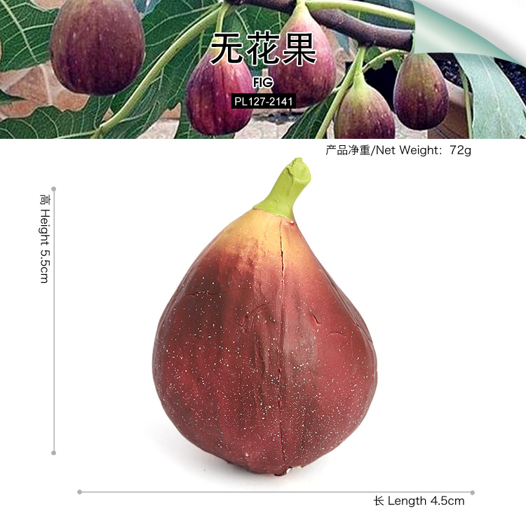 2141 Fig