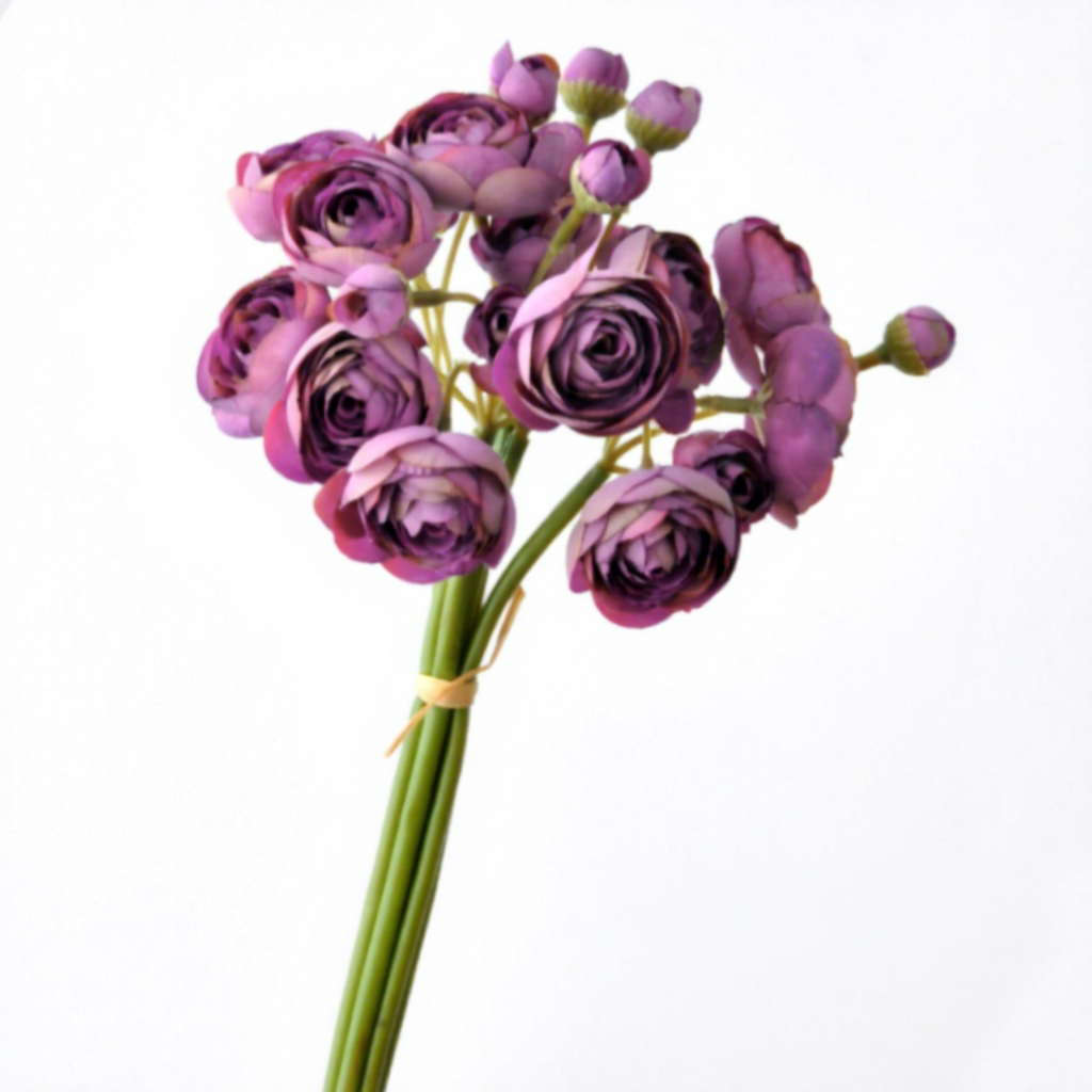 violet foncé