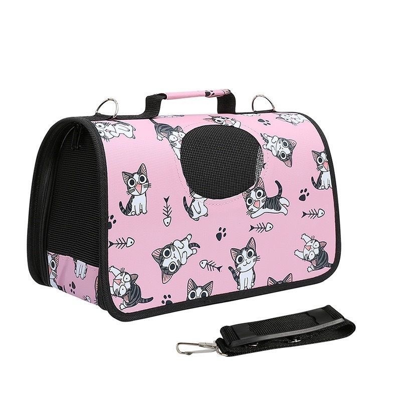 Poisson-chat rose