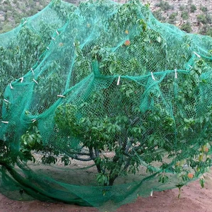 Высокое качество HDPE зеленый анти-защита от птиц сетка для сельского хозяйства и теплицы - Product Image 6