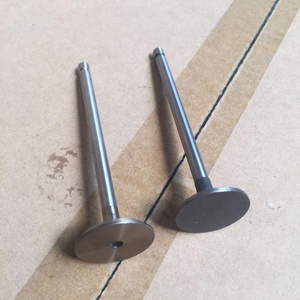 3802924 3940734 4895051 ipucu motor supabı ISB QSB 6D107 33*7*124.6 Ex 33*7*124.3