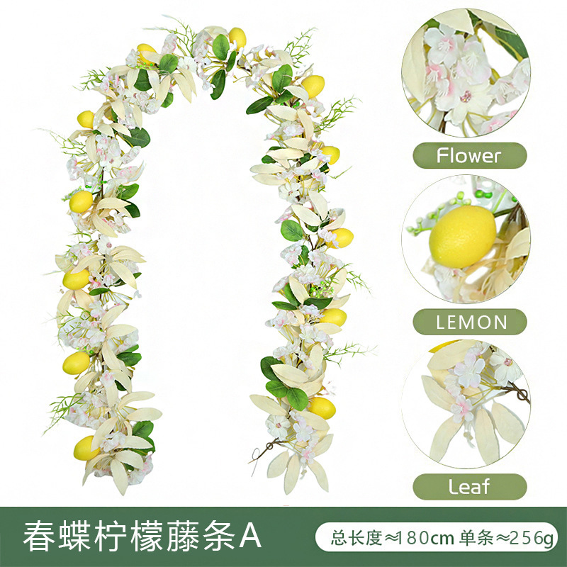 Vigne de citron papillon de printemps A (cryptée)