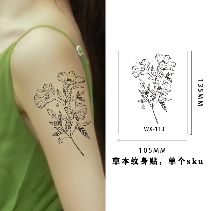 WX-113