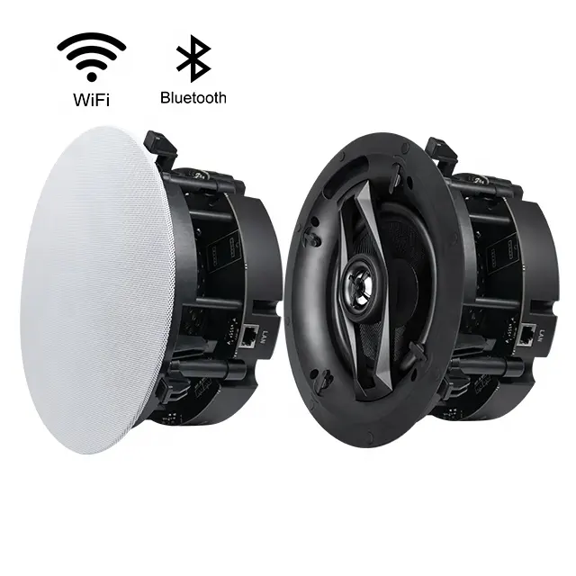 Multi-Channel Multi Room Aangedreven Stereo Geluid App Controles Tuya Aangepaste Hifi Actieve Draadloze Bluetooth Wifi Plafond Speaker