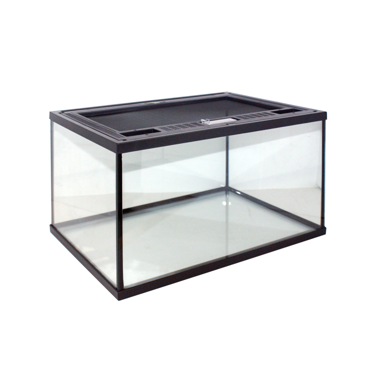 Transparent