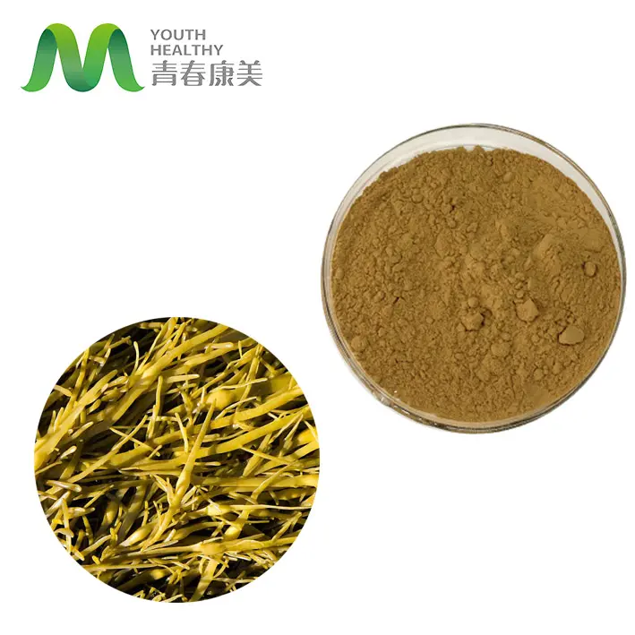 Hot Selling Zeewier Extract Poeder Natuurlijke 10% 98% Fucoxanthin