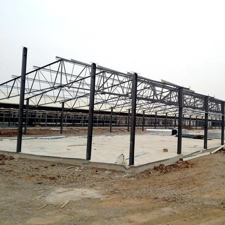 Prefab Layer Chicken Houses Steel Structure Automatic Poultry Farm