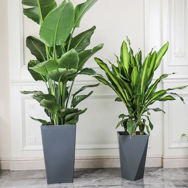 Vaso de planta grosso e alto, vaso de plástico para plantas verdes e áreas internas