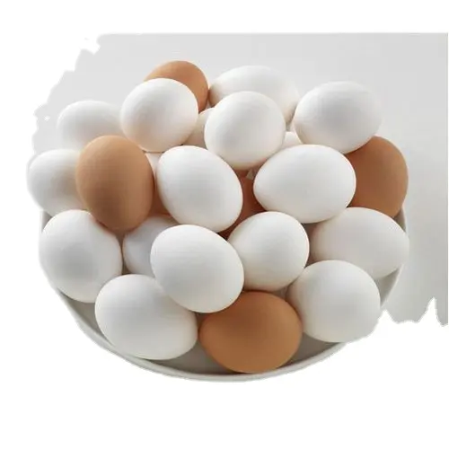 Huevos orgánicos de mesa de pollo fresco y huevos para incubar fertilizados Origen de EE. UU./Huevos frescos de mesa de pollo marrón y blanco