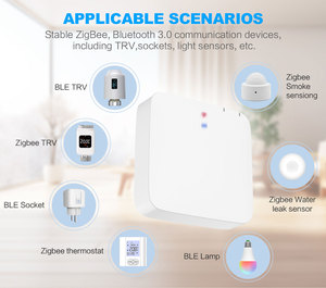 Шлюз для умного дома Tuya Zigbee3.0 с модулем WBRG1 и ZS3L, многорежимный USB-источник питания - Product Image 4