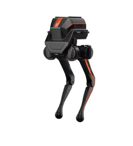 2025 Chinesische intelligente künstliche Intelligenz Fox tech robot Walking SDK RC Programmierung Biped Humanoid Robot
