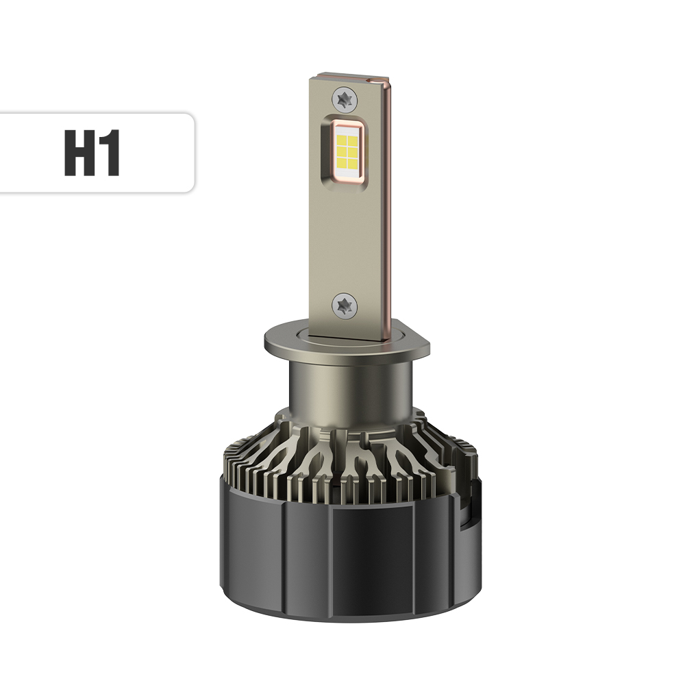 H1