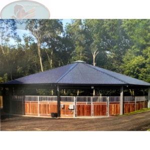 Marcheur de cheval de moteur importé européen de haute qualité - Product Image 1