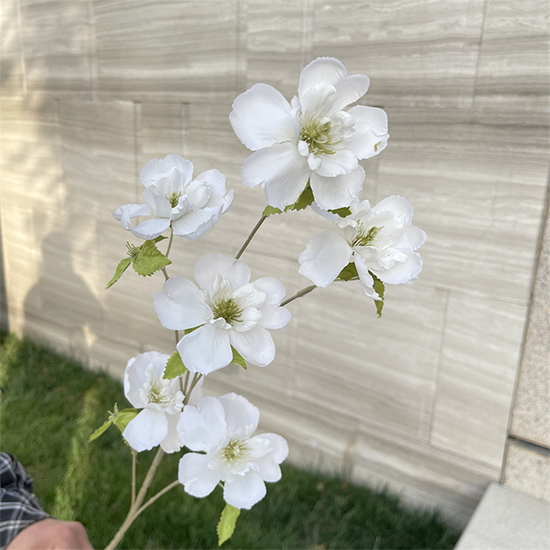 Blanc