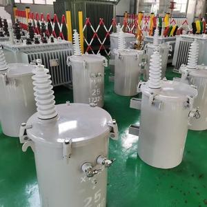 Fabrik preis Einphasen-Pol transformator 13,8 kV Eingangs spannung Ausgangs spannung mit Variationen 120V - Product Image 6