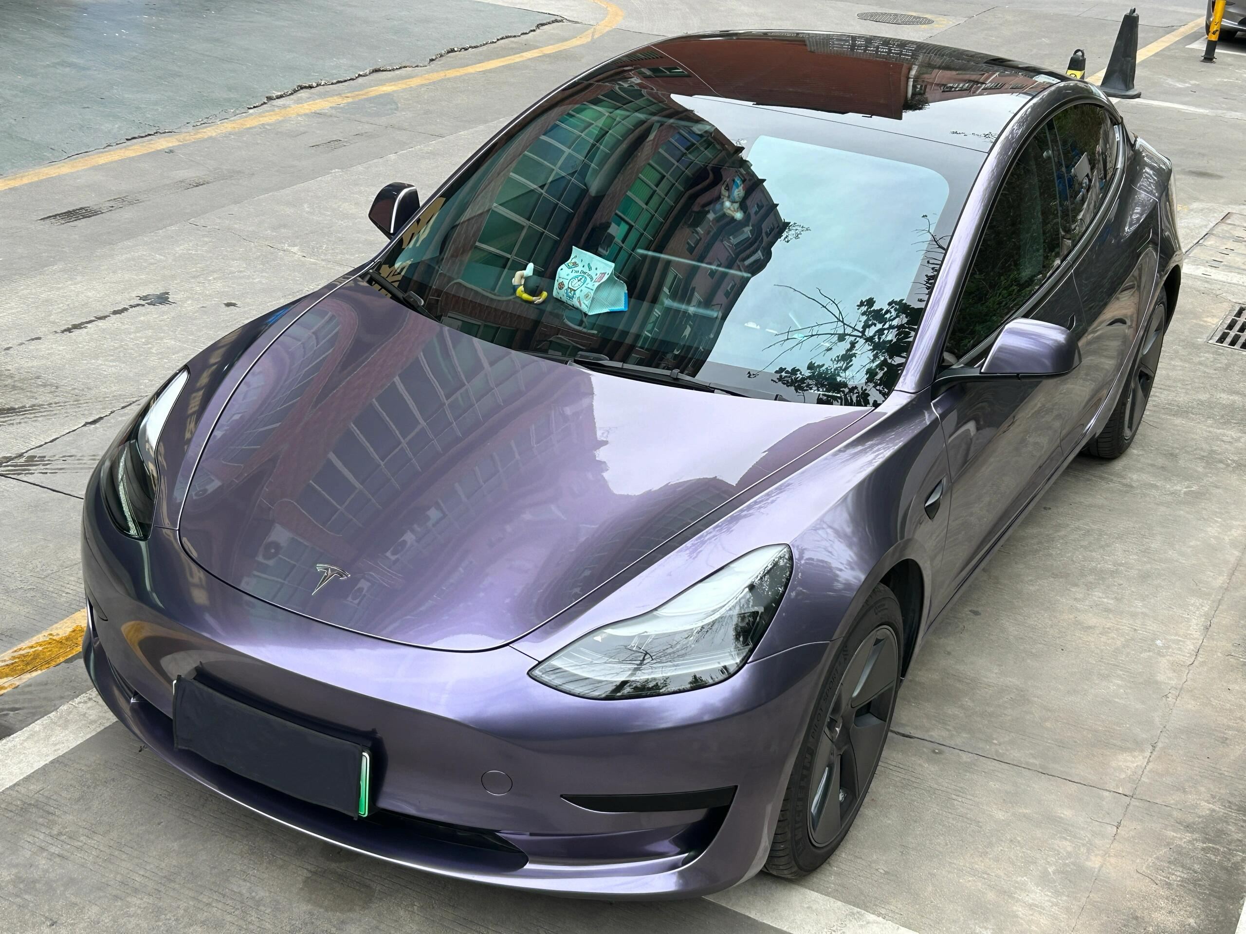 Gray Violet
