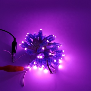 Guscio trasparente Singolo Colore Nodo 12v 9 millimetri Led Pixel Stringa Luce - Product Image 5