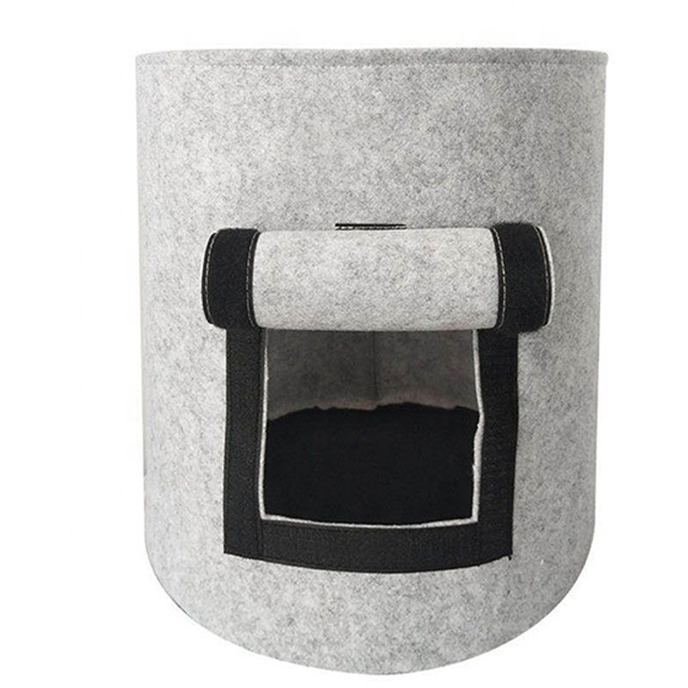 Gris
