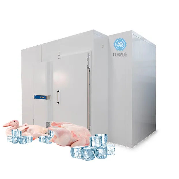 China sala fria congelador de explosão congelar recipiente congelar profundo restaurar o congelador para a carne