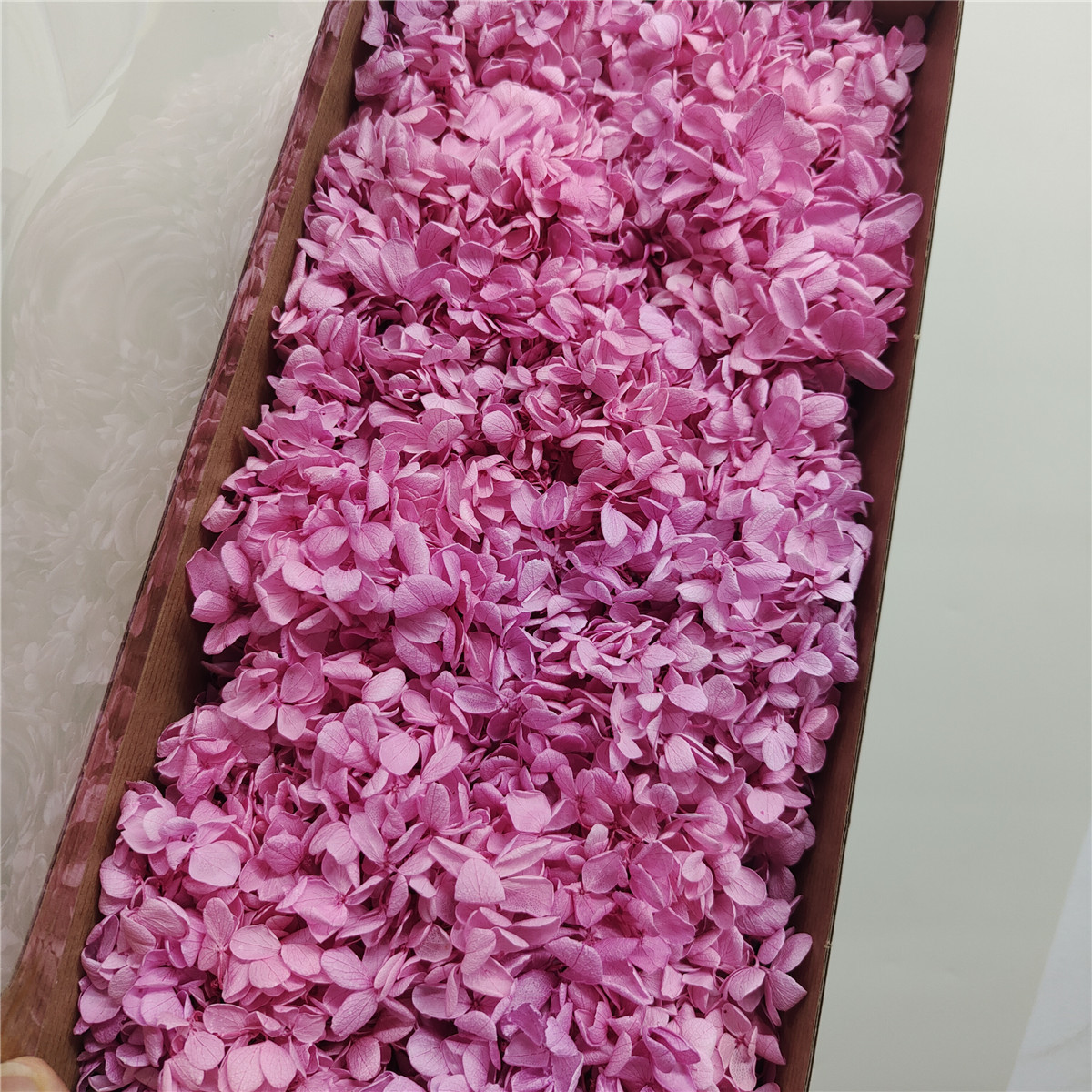Sweet pink hydrangea-90-100g per box