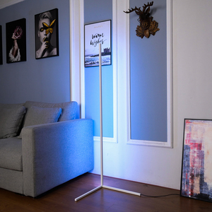 Amazon Shopify trend ürünleri 2022 ev dekor zemin lambası uzaktan kumanda ile uzaktan kumanda ile renkli RGB artı sıcak beyaz kısılabilir - Product Image 4