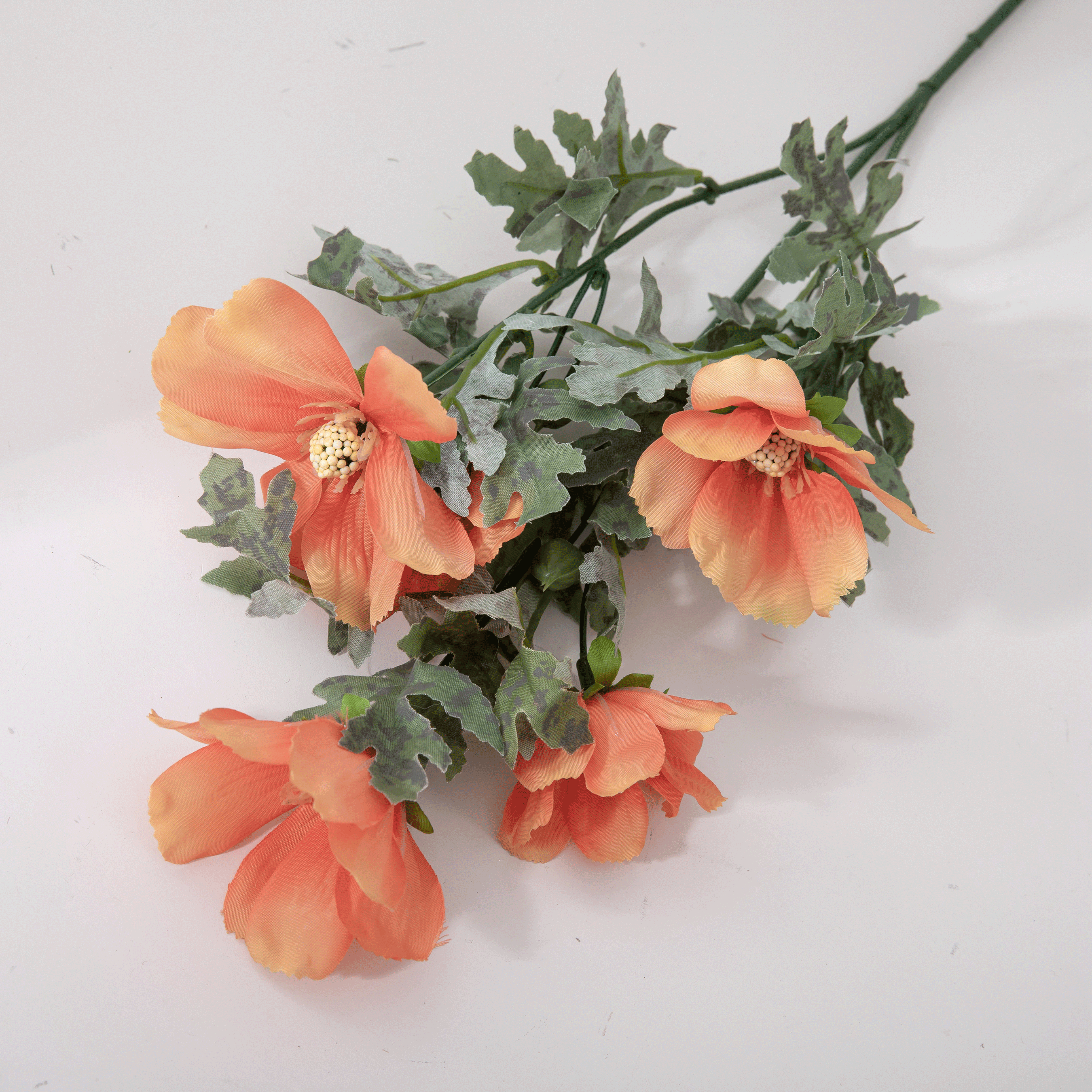 Light Orange