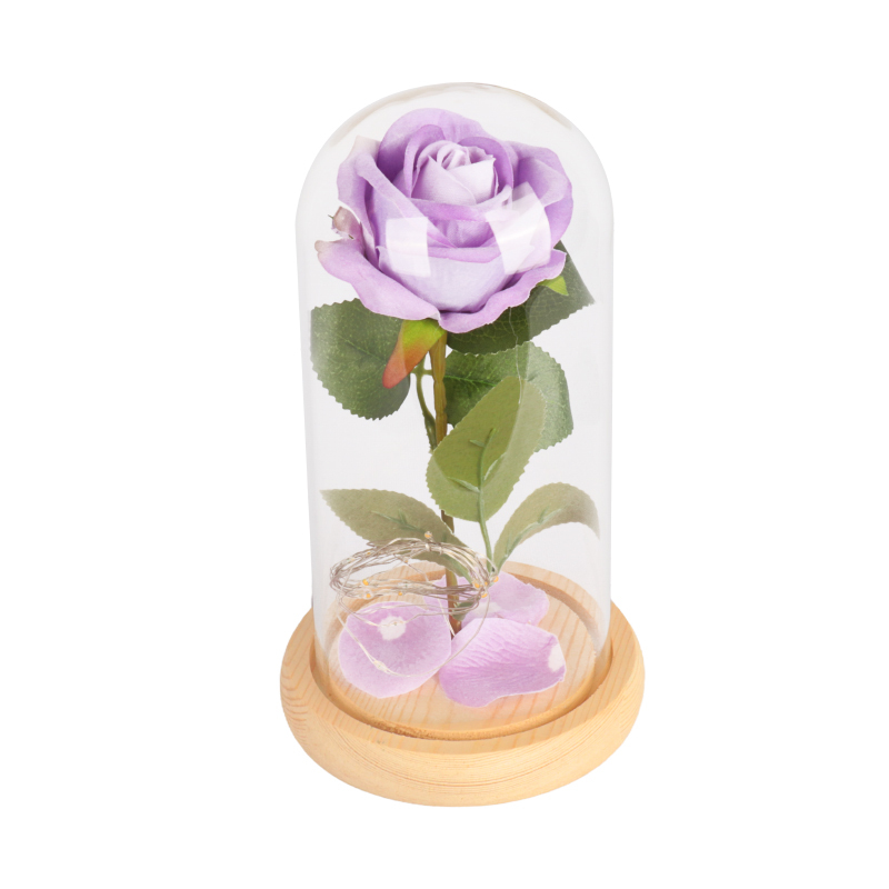 Base naturelle rose pourpre avec lumières