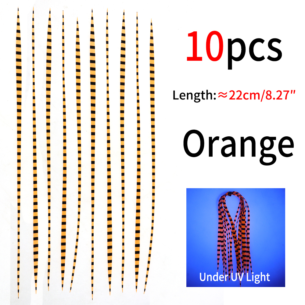 Orange 10PCS