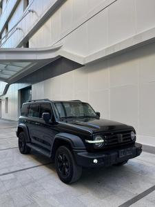 דובאי qatar 2025 מחיר זול היברידי טנק חשמלי 300 2024 330 3.0t v6 5 דלת 5 מושב sar חם מכירה בסין tank300