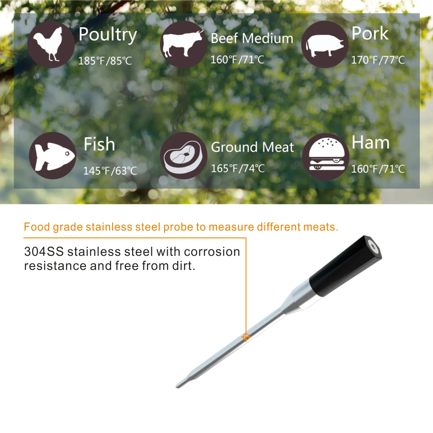 Termometro digitale intelligente per la carne con telecomando mobile