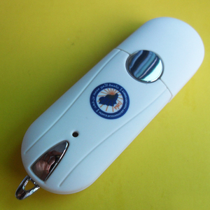 高品质塑料USB钥匙USB 2.0笔式驱动器，带彩色外壳 - Product Image 6