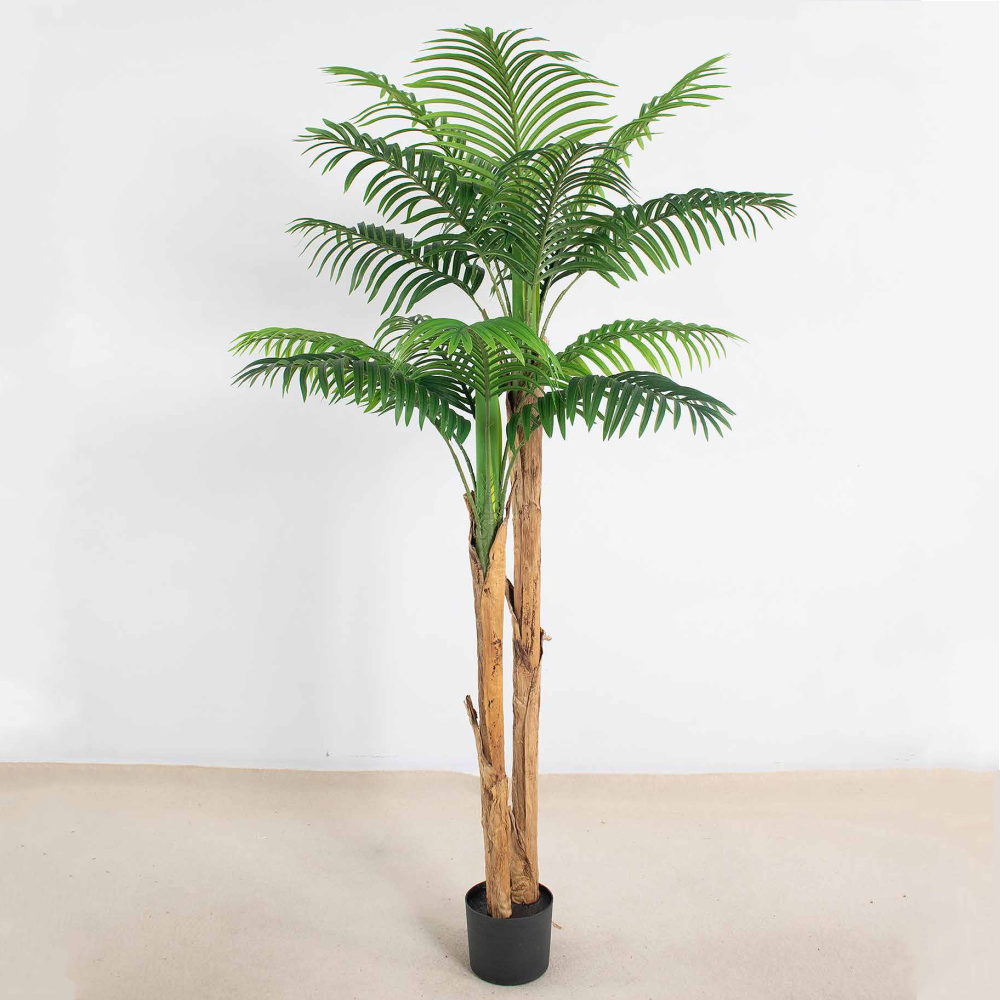 250cm