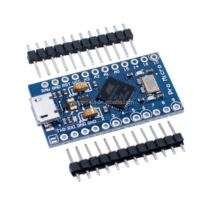 Pro Micro Development Board 5V/16MHz mit Micro/Typ C/Mini USB Kompatibel mit Arduino