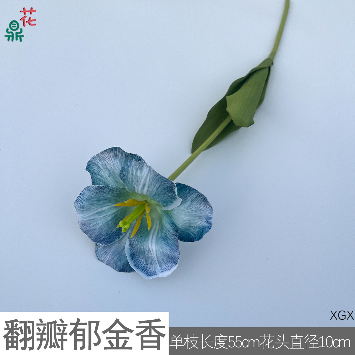 Tulips with double petals XGX, dark green