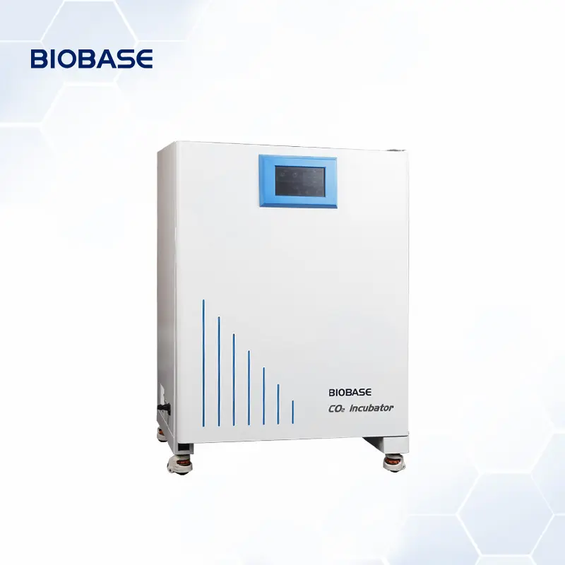 BIOBASE-incubadora China de dióxido de carbono (CO2), función de esterilización a vapor de 90 grados, para laboratorio