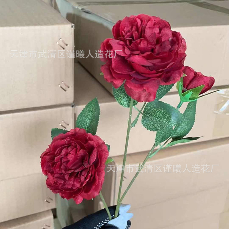 Ranunculus